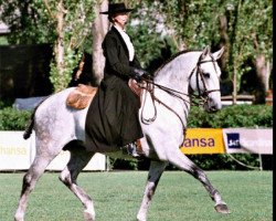 stallion Hostil (Lusitano, 1989, from Zico)