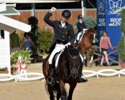 stallion Riverdance (Hanoverian, 1998, from Wolkentanz I)