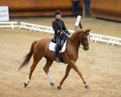 dressage horse Liaison Ene*hn (Hanoverian, 2000, from Londonderry)