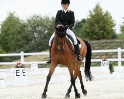 dressage horse James Bond (Oldenburg, 2004, from Jazz Time)