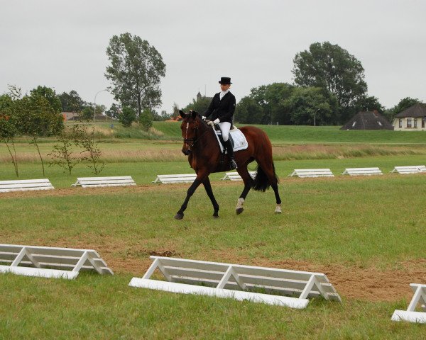 broodmare Kaethe (Oldenburg, 2001, from Monteverdi)