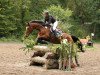 jumper Barina 39 (Hessian Warmblood, 2005, from Barkeeper)