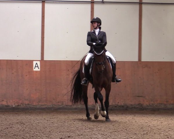 Reitturnier Halver 2020