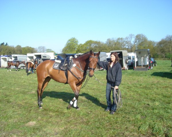 horse Ramira 326 (Hanoverian, 2002, from Ritual)