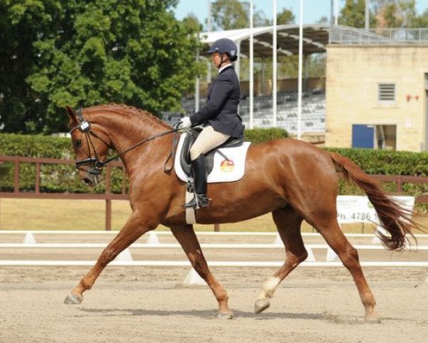 dressage horse First Famous (Rhinelander, 2007, from Fidertanz)