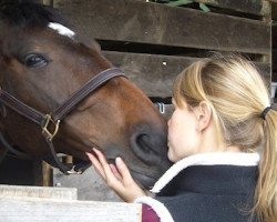 dressage horse Fabian J.s. (Hanoverian, 1999, from Feiner Graf)