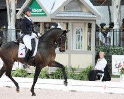 dressage horse Smeyers San D'Or (Westphalian, 2006, from Sandro Hit)