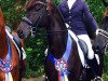 dressage horse Don Cartier (Rhinelander, 2007, from Don Schufro)