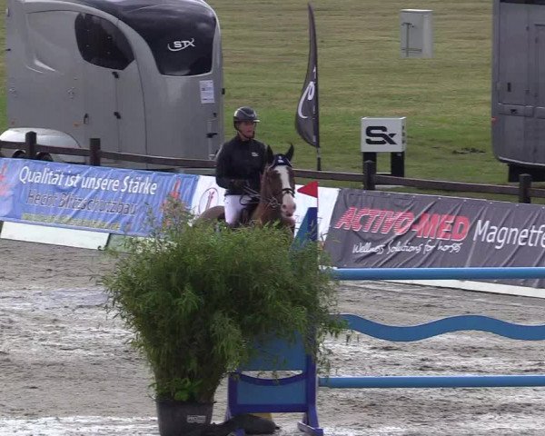 Reitturnier CSI** Westergellersen 2020
