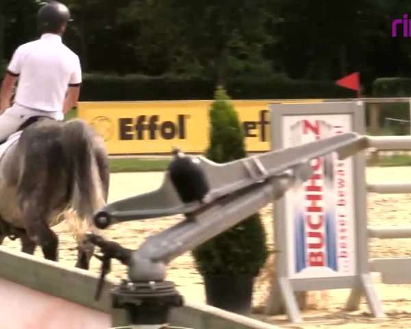 Reitturnier Münster-Handorf 2020