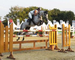 jumper Cessina 3 (Oldenburg show jumper, 2003, from Centesimo I)