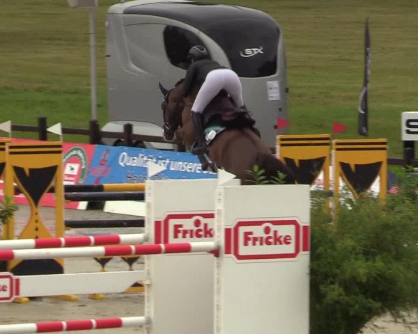 Reitturnier CSI** Westergellersen 2020