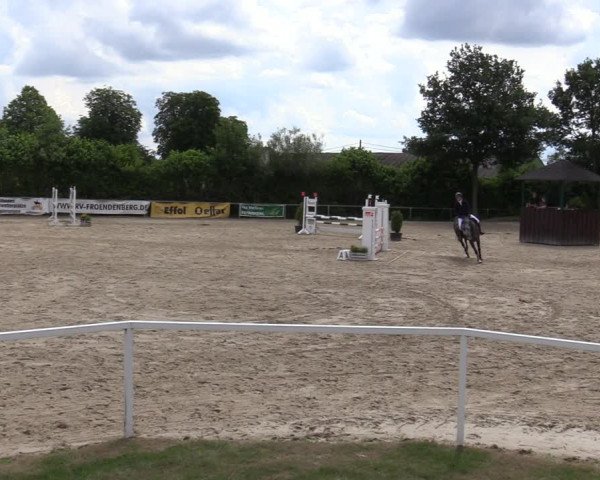 Reitturnier Fröndenberg 2020