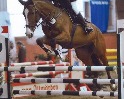 horse Larestan 2 (German Sport Horse, 2003, from Lagaro)