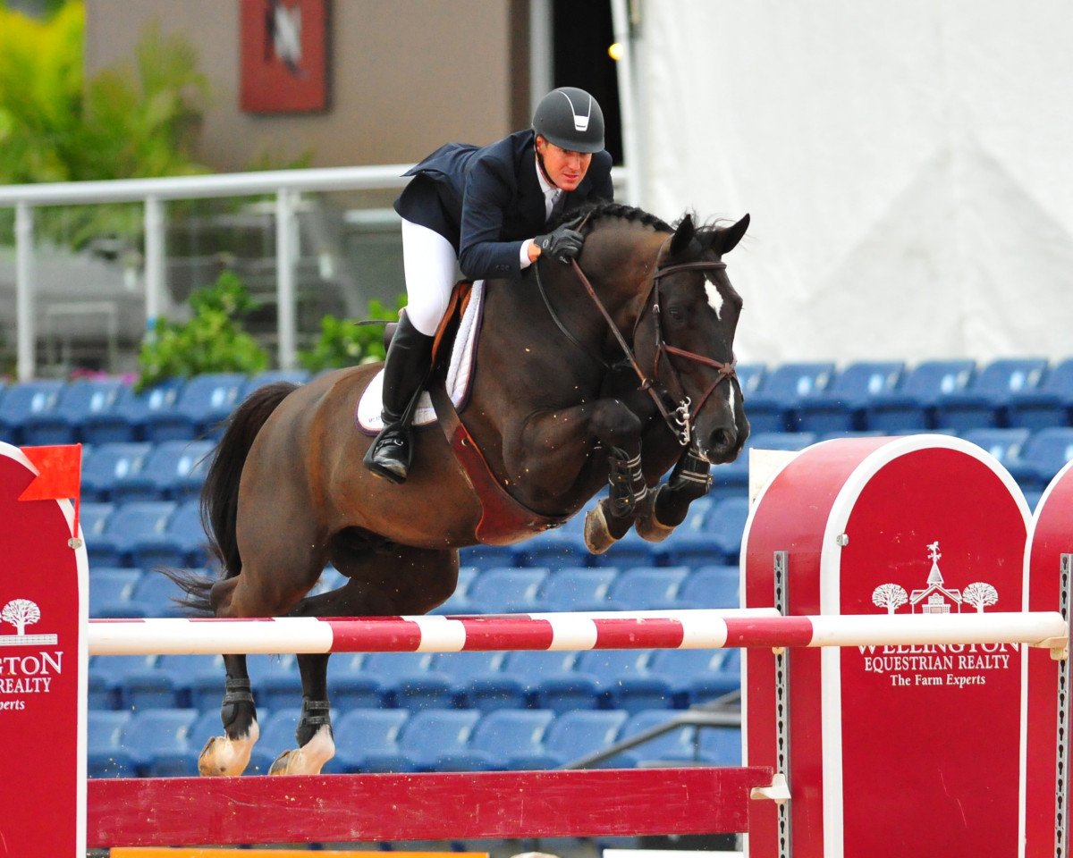 Deckhengst Super Trooper de Ness (Belgium Sporthorse, 2002, von Vigo d'Arsouilles)