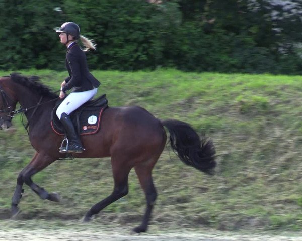 Reitturnier Fröndenberg 2020
