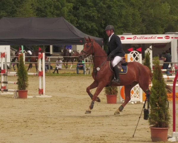 Reitturnier Heiligenwald 2020