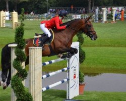 stallion Bacardi Orange de Muze (Belgian Warmblood, 2001, from Cento)