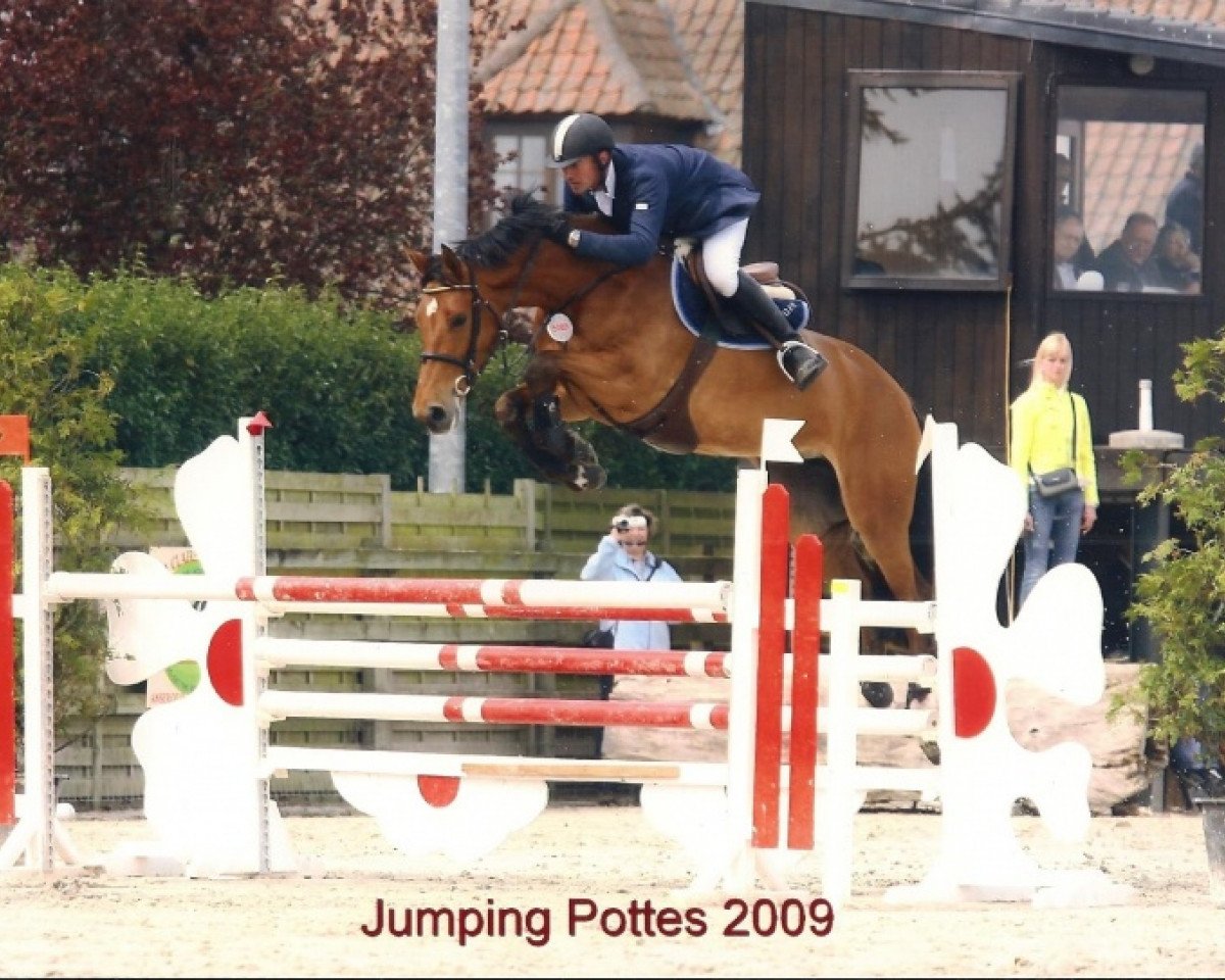 Zuchtstute Evita van het Roosakker (Belgisches Warmblut, 2004, von Nabab de Rêve)