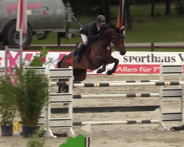 Reitturnier CSI** Westergellersen 2020
