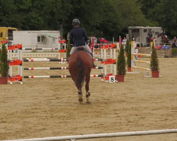 Reitturnier Heiligenwald 2020