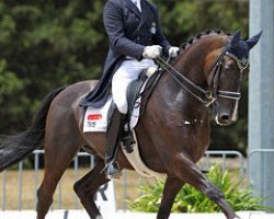 dressage horse Agent de Jeu (KWPN (Royal Dutch Sporthorse), 2005, from Oo-Seven)