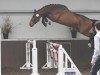 stallion Denzel Vt Meulenhof (Belgium Sporthorse, 2009, from Marius Claudius)
