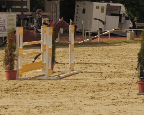 Reitturnier Heiligenwald 2020