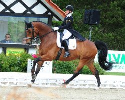 dressage horse Faible As (Westphalian, 2004, from Fürst Piccolo)