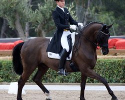 stallion Haddington Khr (Hanoverian, 2005, from Hofrat)