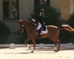 dressage horse Flash (Hanoverian, 2004)