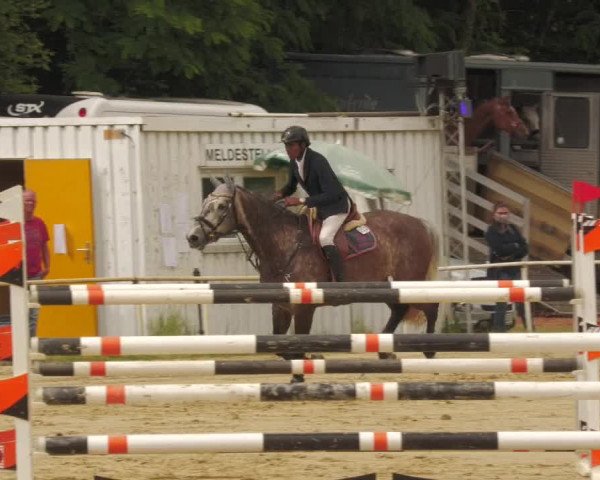 Reitturnier Heiligenwald 2020
