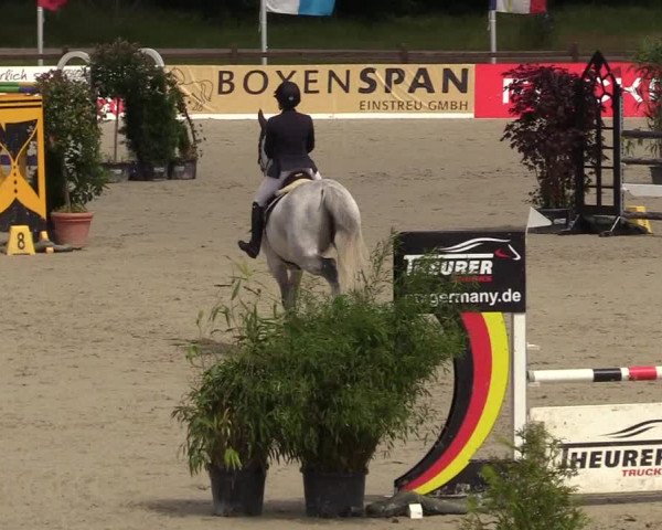 Reitturnier CSI** Westergellersen 2020