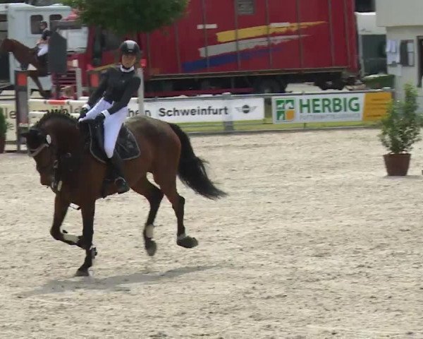 Reitturnier Grafenrheinfeld/Ufr. 2020