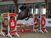 dressage horse Ray of Grey (Trakehner, 2011, from Sky Dancer)