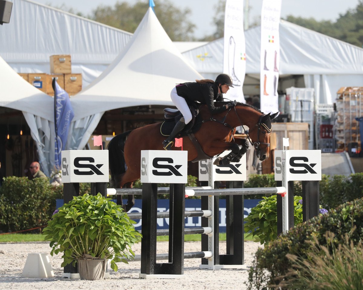 jumper Lady Vagabond (KWPN (Royal Dutch Sporthorse), 2016, from Vagabond de la Pomme)