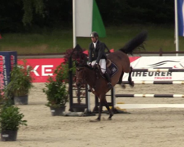 Reitturnier CSI** Westergellersen 2020