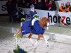 dressage horse Strolchi (Oldenburg, 2006, from Sancisco)