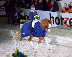 dressage horse Strolchi (Oldenburg, 2006, from Sancisco)