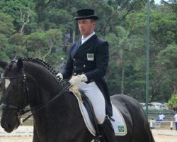 dressage horse Dicaprio (Oldenburg, 2002, from De Niro)