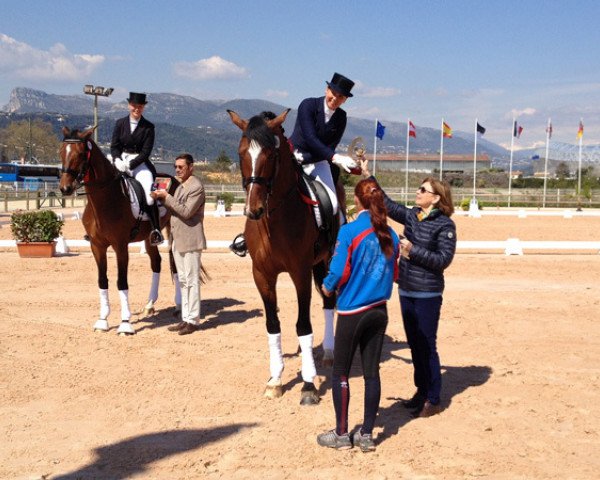 dressage horse Belmondo (Latvian Warmblood, 2005)