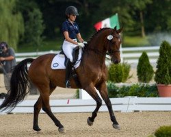 dressage horse Power Play (Oldenburg, 1997, from Pik Noir)