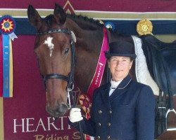 jumper G Sharp (Hanoverian, 2001, from Graf Top)