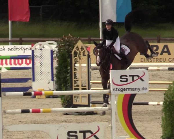 Reitturnier CSI** Westergellersen 2020