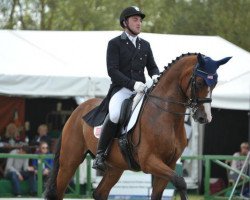 dressage horse Lombardo Lhf (Hanoverian, 2000, from Londonderry)