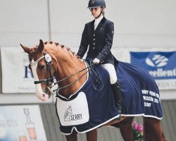 dressage horse Attack With Me (Hanoverian, 2003, from Weltregent H)