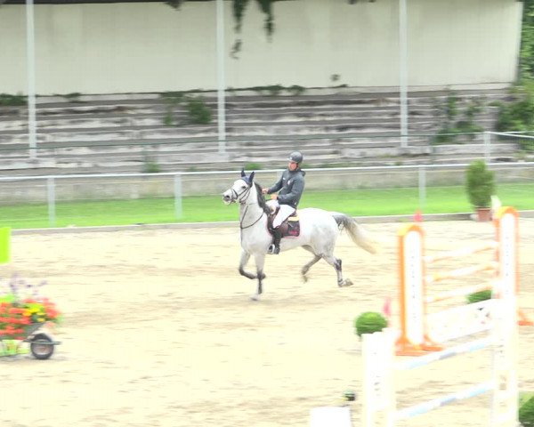 Reitturnier Schaffhausen 2020