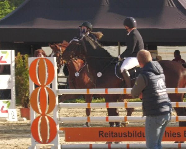 Reitturnier Heiligenwald 2020