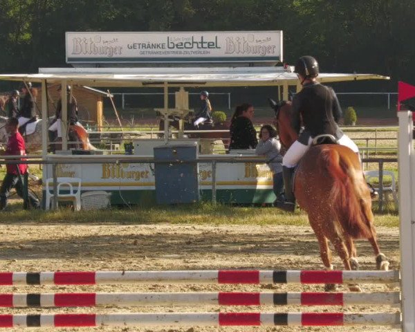 Reitturnier Heiligenwald 2020