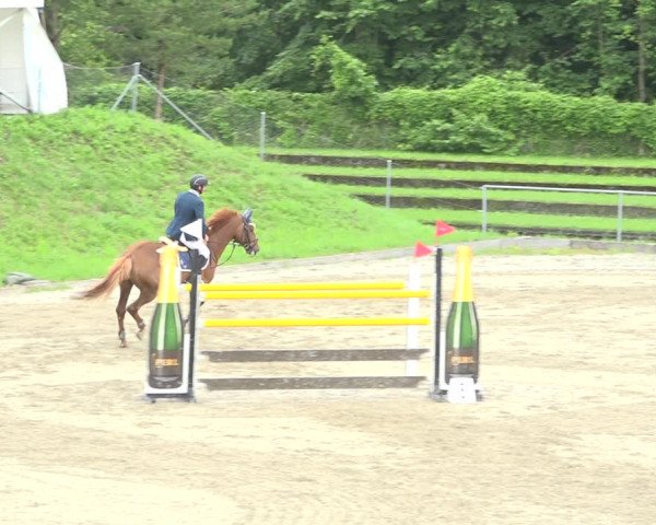 Reitturnier Schaffhausen 2020